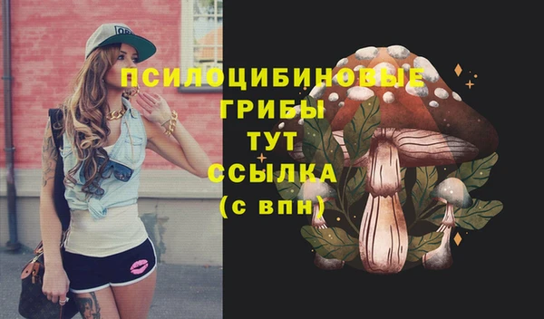 mix Надым